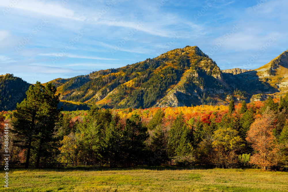 Beauty of nature fall colors