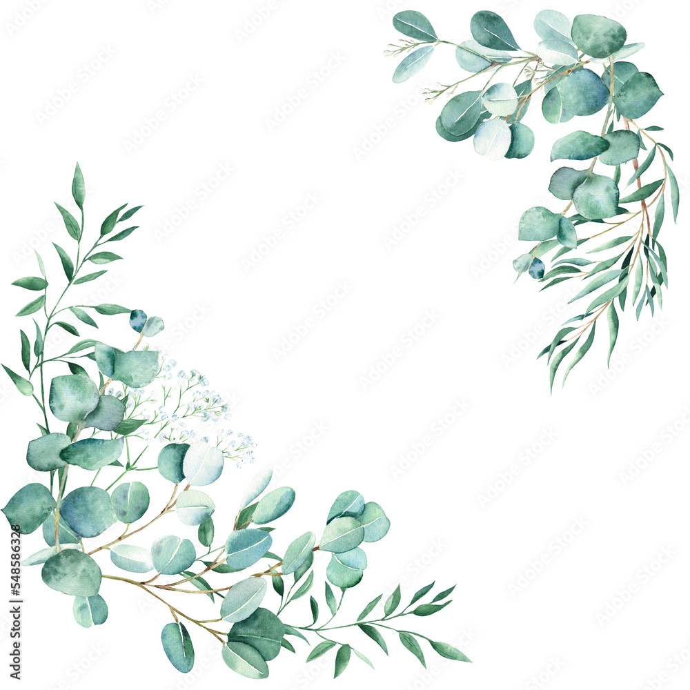 Watercolor foliage bouquets, corners. Eucalyptus, gypsophila and pistachio branches. True blue, willow, silver dollar, seeded. Hand drawn botanical illustration isolated on white background. Can be