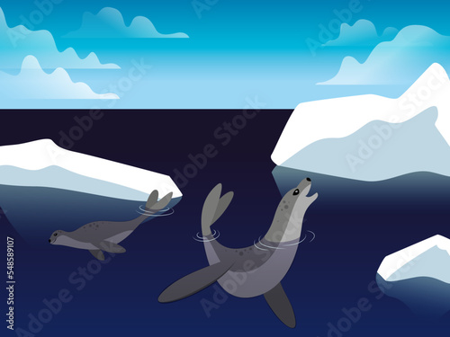 Polar animals - otaries