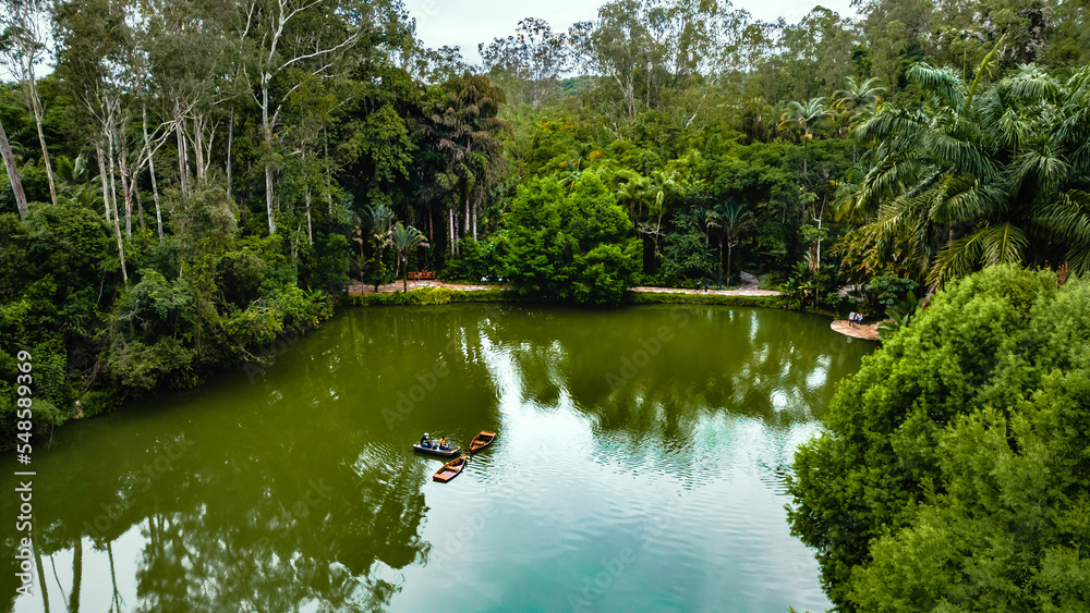 Instituto Inhotim Arte Brasileira Contemporânea Engenharia Paisagismo Jardinagem Sítio Natureza Lago Paisagem Brumadinho Belo Horizonte Minas Gerais Turismo Turístico Viagem Viajar Palmeiras Árvores