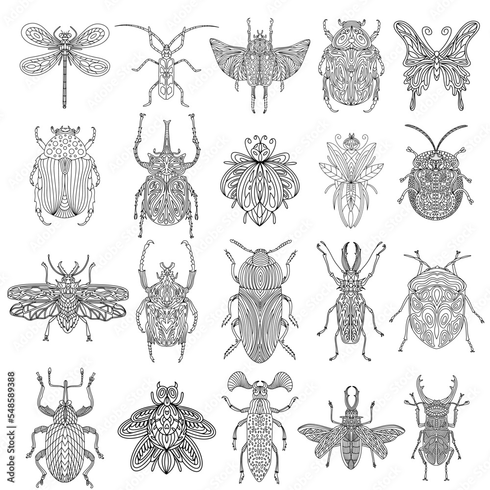 Set of vector illustrations of assorted bugs drawn with thin black ...