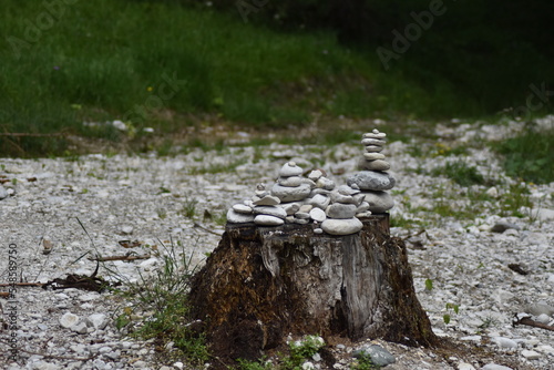 stones on a tree stump