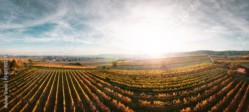 Colorful vineyards fields in the Austrian Weinviertel region during autumn photo