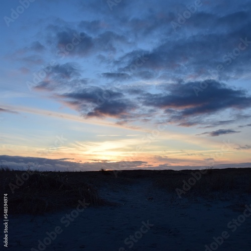 Sunset over the wetland