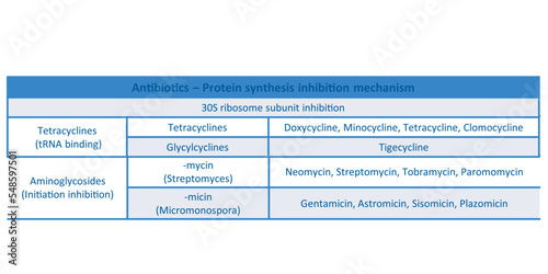 Table showing classification of 30S ribosome subuinit inhibitor antibiotcs with examples. Blue background and text.