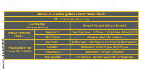 Table showing classification of 50S ribosome subuinit inhibitor antibiotcs with examples. Dark background neon orange text.
