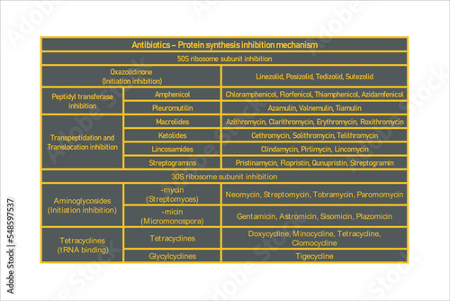 Table showing classification of Protein synthesis inhibition antibiotics with examples. Dark background neon orange text.