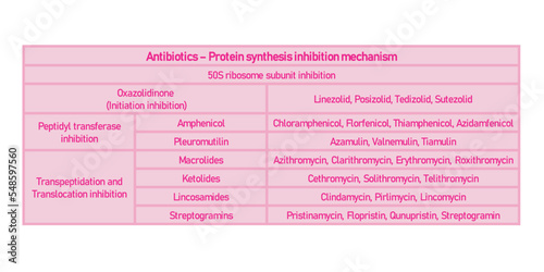 Table showing classification of 50S ribosome subuinit inhibitor antibiotcs with examples. Pink background and text.