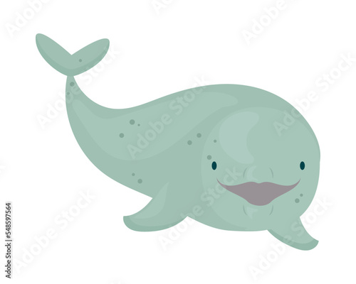 beluga whale design
