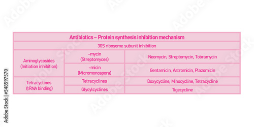 Table showing classification of 30S ribosome subuinit inhibitor antibiotcs with examples. Pink background and text.