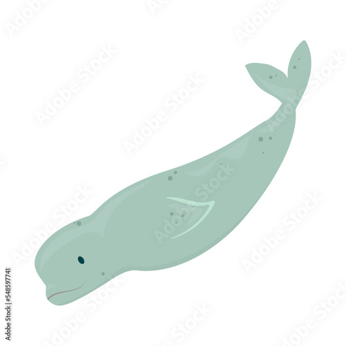 beluga whale icon Fototapet