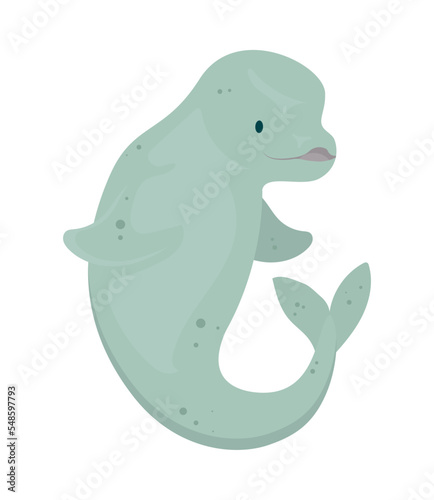 cartoon beluga whale