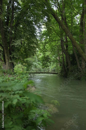 Fototapeta Naklejka Na Ścianę i Meble -  bridge and river in the woods