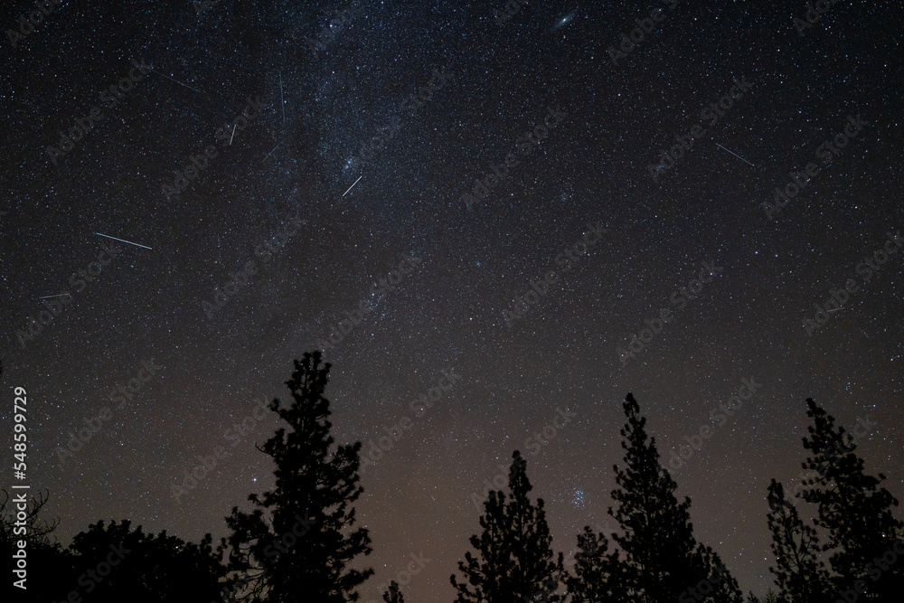 Leonids Meteor Shower Night Sky Skyscape