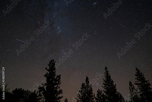 Leonids Meteor Shower Night Sky Skyscape