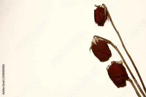 Tres rosas secas en un  ramo