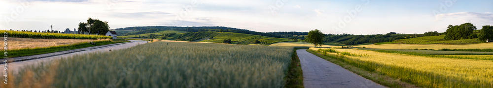 Obraz premium super wide panorama of lower austria with road forest and fields