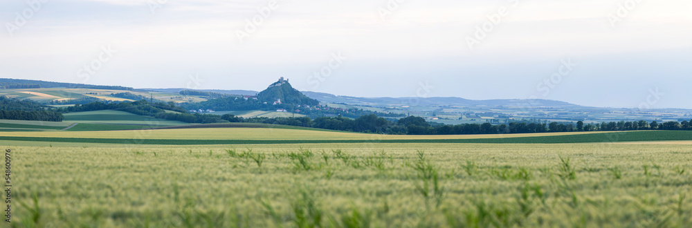 Small Mountain with Castle in middle of fields