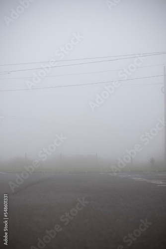 fog in the fog (ID: 548601331)