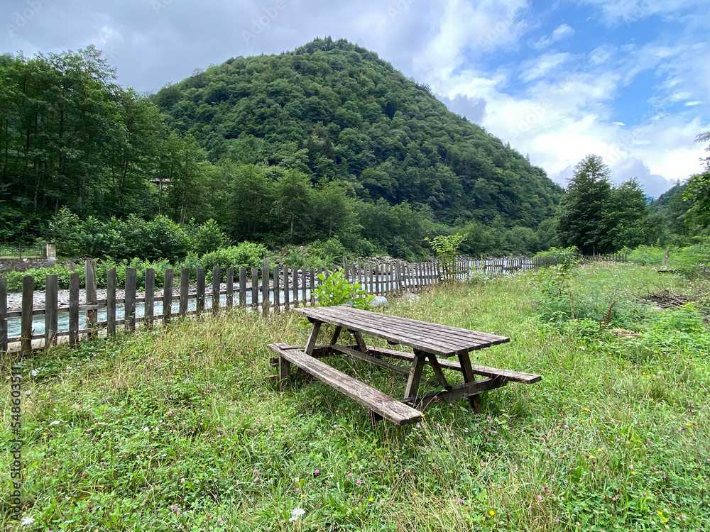 an empty bench in the park. Wallpaper Camlihmesin, Rize