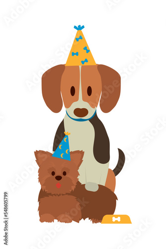 happy dogs birthday