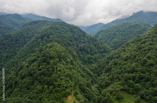 aerial view of foggy forests. Drone shot of the Kackar Mountains in spring. Camlihemsin Rize, Turkey