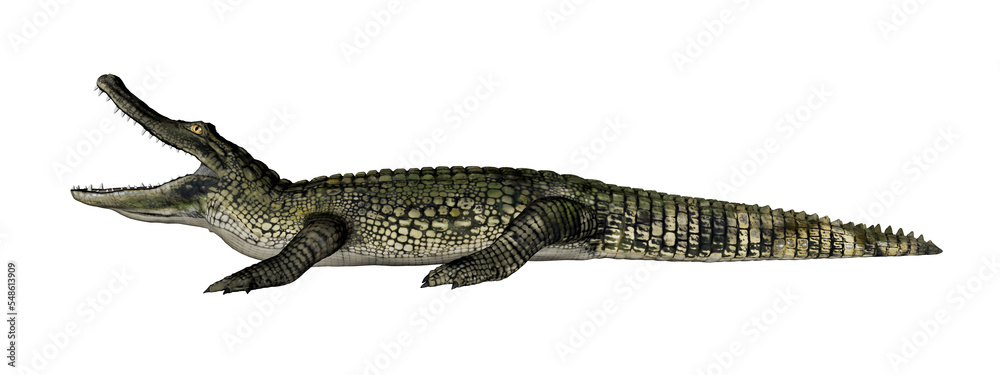 Naklejka premium transparent