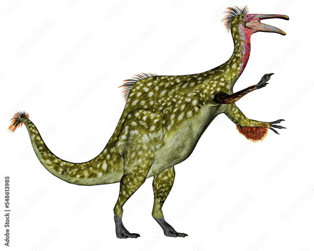 Naklejka premium transparent