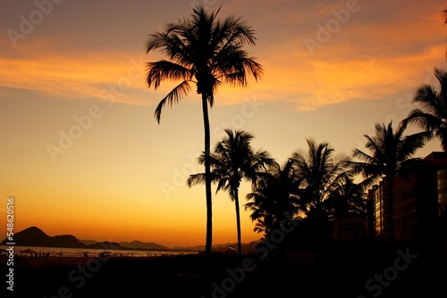 Palm trees andd tropical vegetation on the beach during sunset. Riviera Beach, Bertioga, Brazil. reddish sky and reflections on the water.