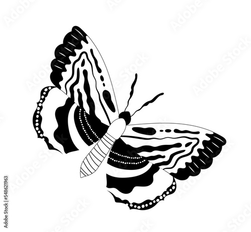 Butterfly line silhouette. Sticker for social media and instant messengers. Nature and wild life. Aesthetics, elegance and beauty. Trendy logotype for company. Cartoon flat vector illustration