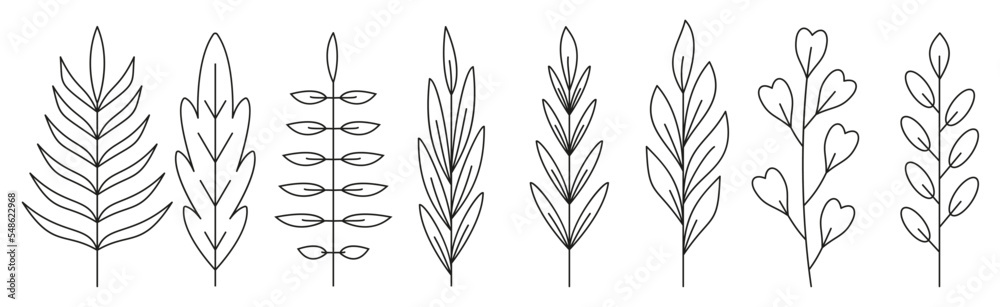 Branch leaf black line icon set. Outline forest plant herbal deciduous tree foliage. Coloring book page floral spring sprout. Linear organic leaves of tropical palm tree, rowan, maple, eucalyptus
