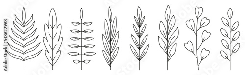 Branch leaf black line icon set. Outline forest plant herbal deciduous tree foliage. Coloring book page floral spring sprout. Linear organic leaves of tropical palm tree, rowan, maple, eucalyptus