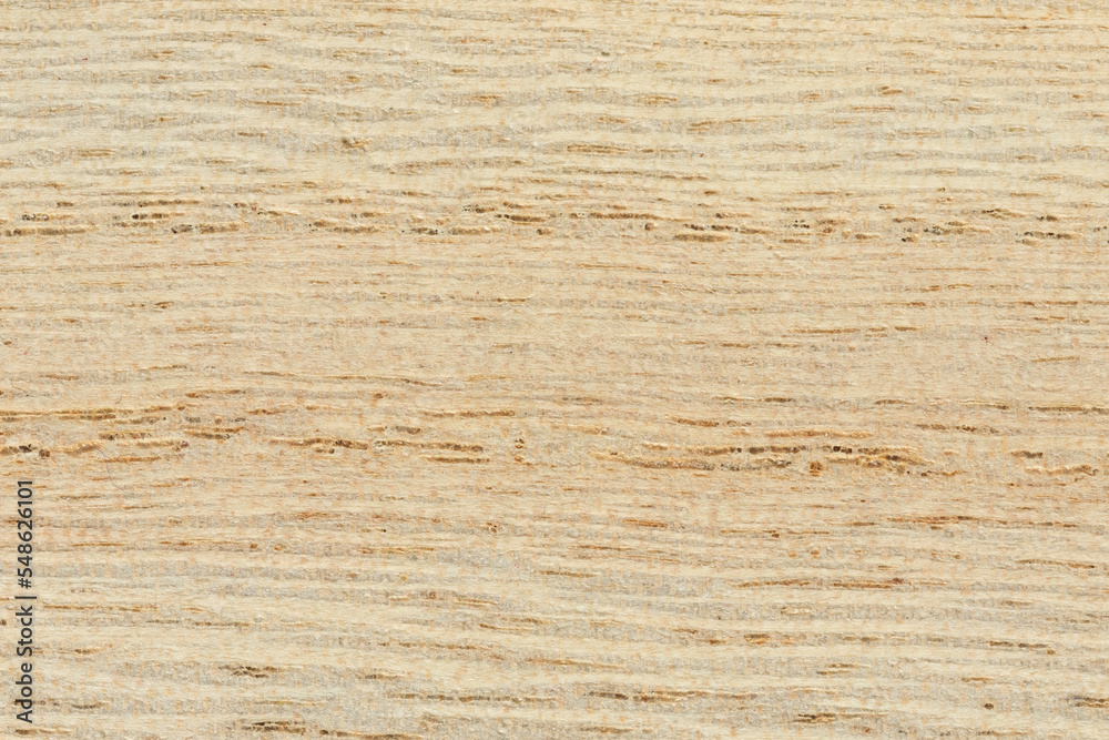 Naklejka premium Texture of wood background close up, full frame