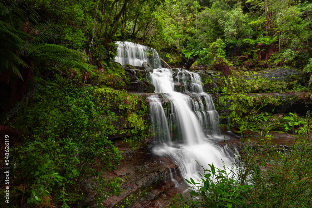 Obraz premium Waterfall Tasmania rainforest lush green