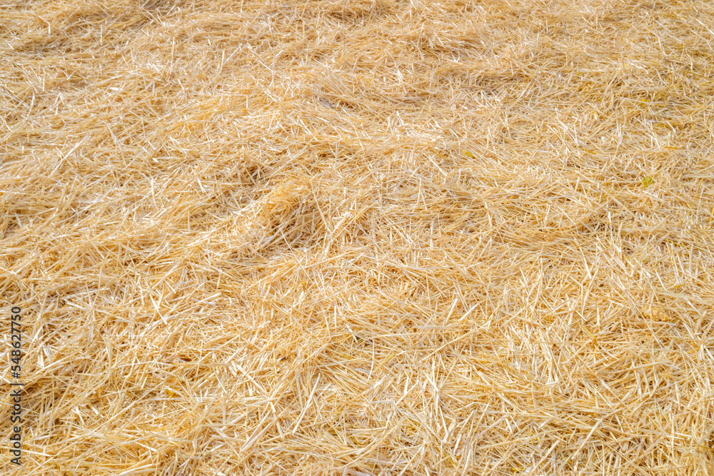 Natural dry straw background for designs Natural dry straw background for designs