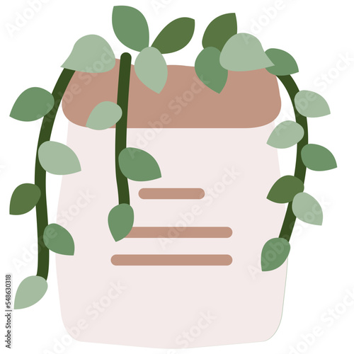 Devil's ivy icon