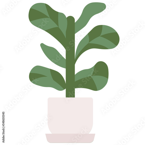 fiddle leaf fig icon