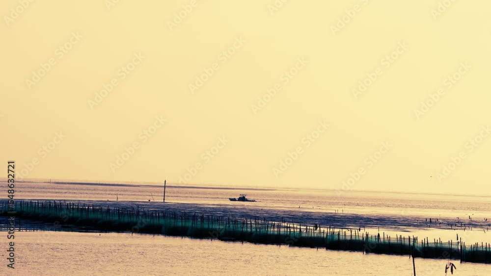 Fishermen drive small boats to inspect the cultured oysters, at dusk. Aogu Wetlands Forest Park is a base for eco-tourism. Dongshi Township, Chiayi County, Taiwan Fishermen drive small boats to inspect the cultured oysters, at dusk. Aogu Wetlands Forest Park is a base for eco-tourism. Dongshi Township, Chiayi County, Taiwan