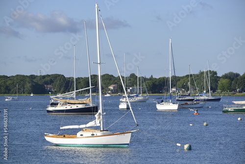 Sailboats, Boston Harbor