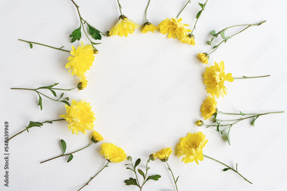 Yellow flowers round frame on white background, chrysanthemum floral wreath, copy space