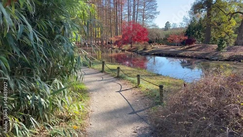 Walking through a Japanese Garden path in Virginia 
