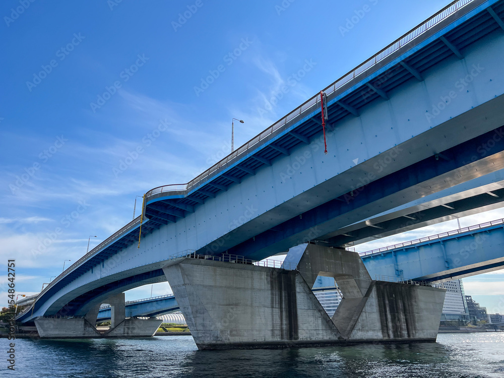 Obraz premium フェリーから見た晴海大橋