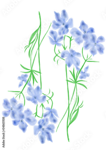 交互の青い花束
