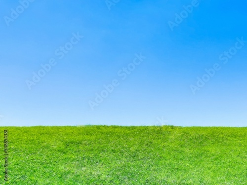 Grassland and blue sky. Hand-painted nature background. Green scenery.  © hanatopan