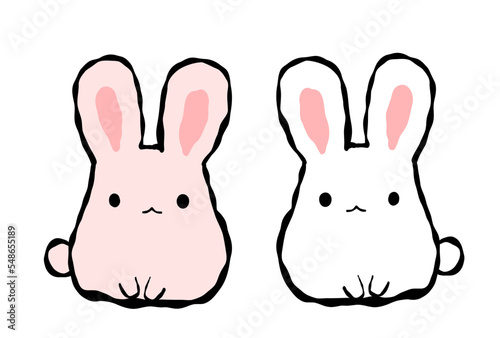 二匹のもちふわうさぎセット
