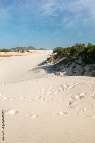 sand dunes on the beach in garopaba   brazil 
