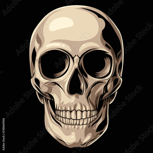 skull illustration