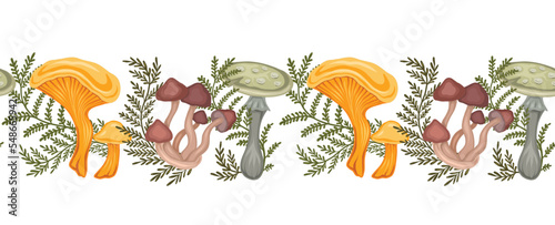 Seamless border with colorful cartoon poisonous mushrooms and fern stems isolated from background. Amanita, false mushrooms and herbals.