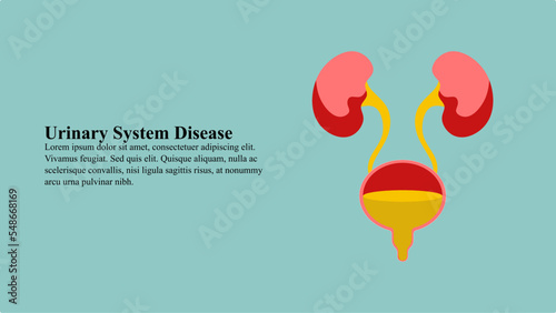 Illustration concept of urinary system disease.