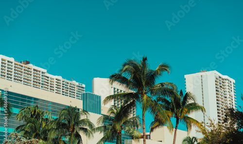 trees in the city Downtown Miami   © Alberto GV PHOTOGRAP
